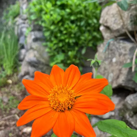 Vistalinda