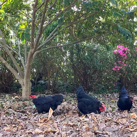 Vistalinda Appartement *