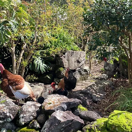 Vistalinda 아파트