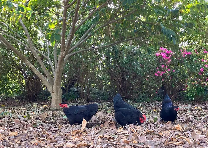 Vistalinda 아파트 *