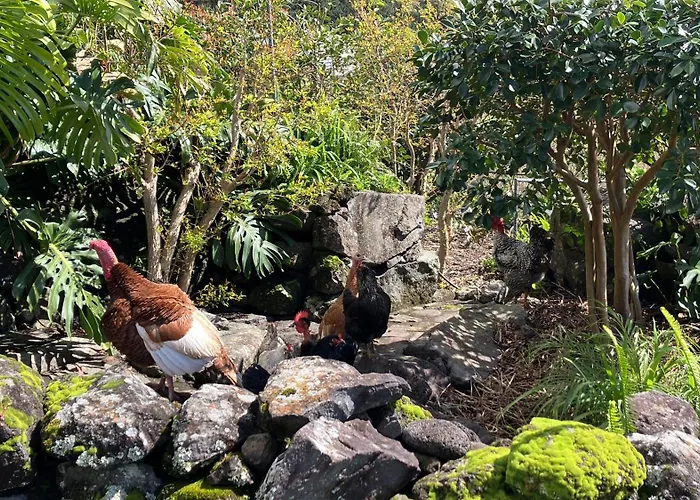 Vistalinda Апартаменты